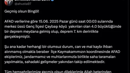 Bingöl’de 4 Büyüklüğünde Zelzele: Vali Olumsuz Durum Yok Dedi